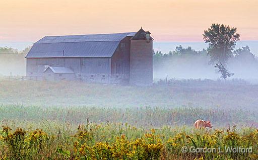 Barn In Mist_25817.jpg - Photographed near Smiths Falls, Ontario, Canada.